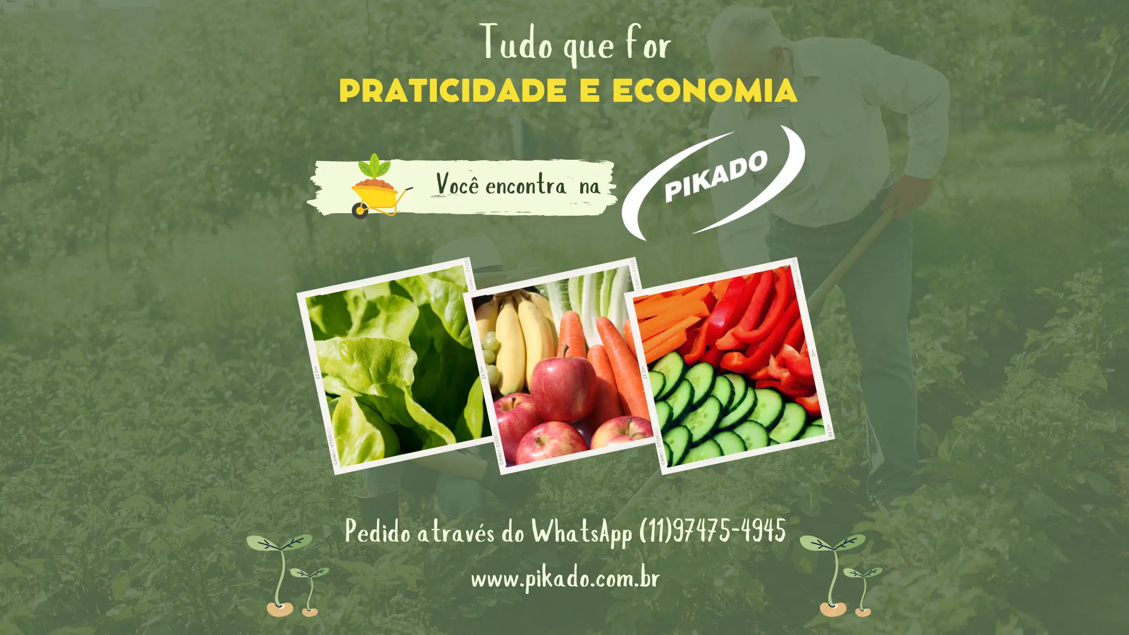 Tudo Que For PRATICIDADE E ECONOMIA Pikado Hortifruti